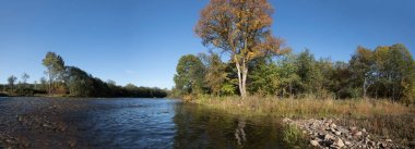 Güzel sakin nehir ve sonbahar orman