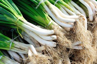 taze sarımsak filizi