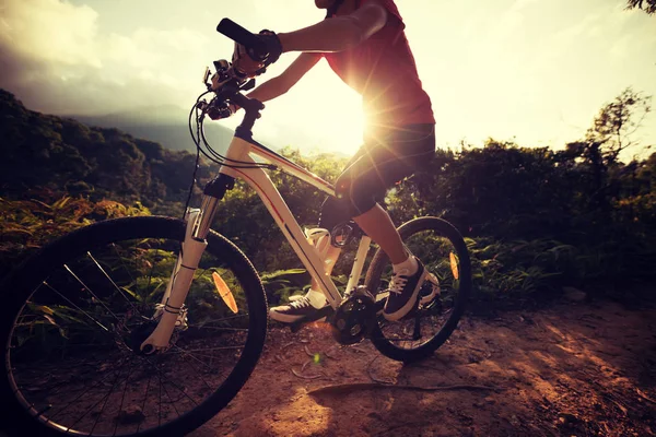 Mujer joven en bicicleta en el sendero —  Fotos de Stock