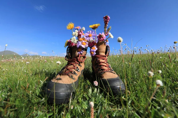 Bottes de randonnée avec de belles fleurs — Photo