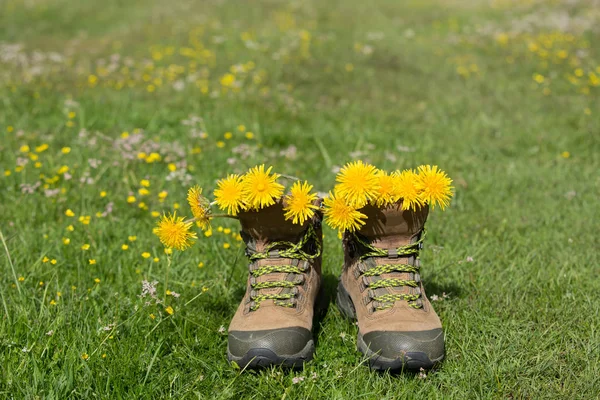 Wandelen laarzen met prachtige bloemen — Stockfoto