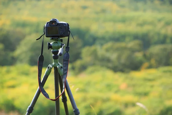 Câmera Foto Tripé Com Paisagem Colorida Floresta Outono Fundo — Fotografia de Stock