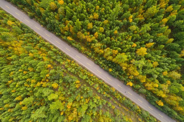 Asfaltvägen i höstlig skog — Stockfoto