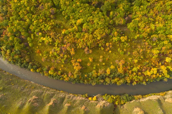 Autumnal forest landscape — Stock Photo, Image