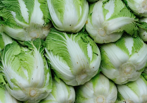 市場での販売新鮮な白菜 — ストック写真