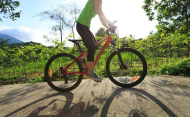 kadın bisikletçi gündoğumu orman iz üzerinde Bisiklete binme