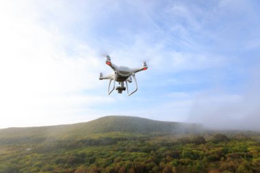 sonbahar ormanın üzerinde havaya uçan uçak