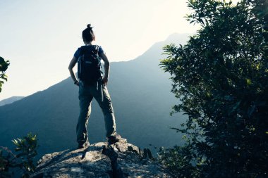 dağın tepesinden manzarayı başarılı kadın backpacker
