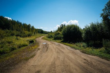 Toprak yolun açık mavi gökyüzü altında ormandaki
