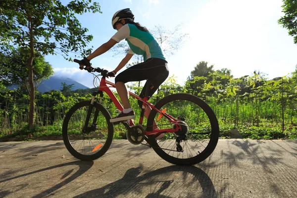 Genç Kadın Bisikletçi Gündoğumu Orman Üzerinde Bisiklete Binme — Stok fotoğraf