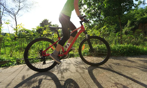 Ciclista Mujer Bicicleta Sendero Del Bosque Amanecer —  Fotos de Stock