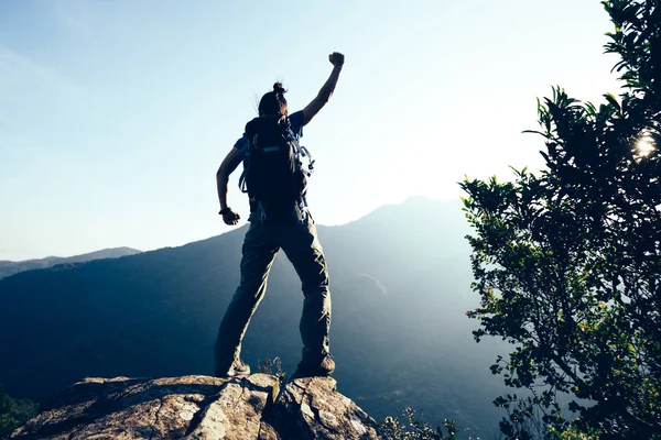 Exitosa Excursionista Femenina Pie Borde Montaña — Foto de Stock