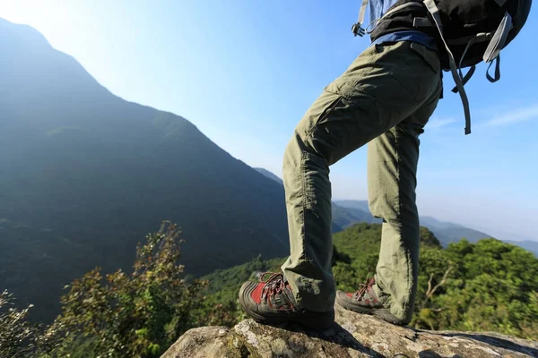 Framgångsrika Kvinnliga Hiker Står Kanten Berget — Stockfoto