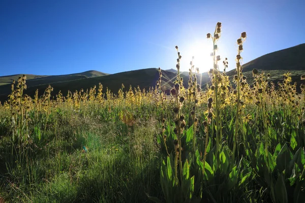 Bellissimo Paesaggio Con Alba Sulle Montagne Alta Quota — Foto Stock