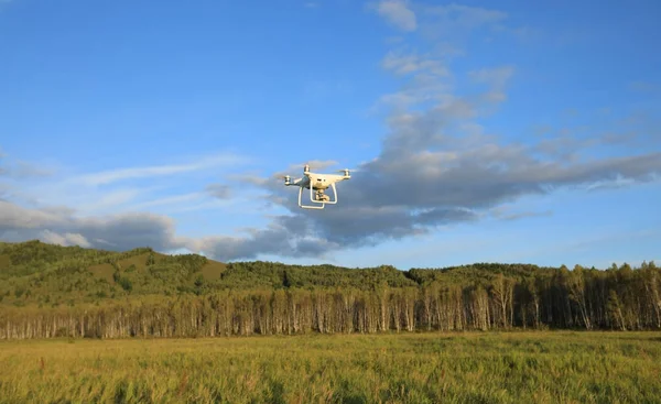 sonbahar ormanın üzerinde havaya uçan uçak