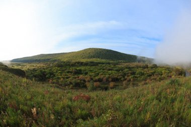 Ismarlayarak bulutlu gökyüzü altında sonbahar orman 