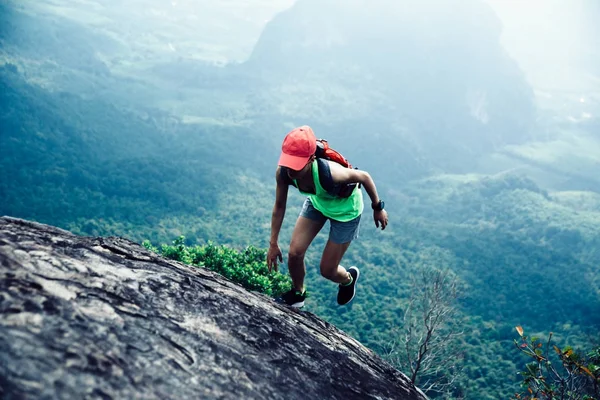 Jonge Fitness Vrouw Aangelopen Naar Bergtop — Stockfoto