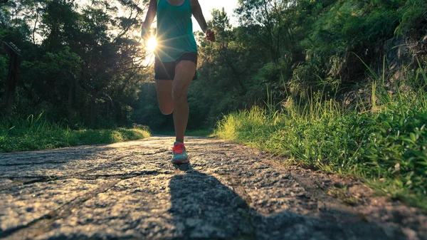 Jonge Fitness Vrouw Atleet Waarop Bospad — Stockfoto