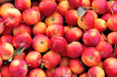 Olgun taze kırmızı crabapples closeup arka plan olarak