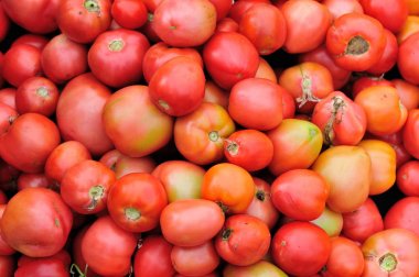 taze kırmızı domates closeup arka plan olarak