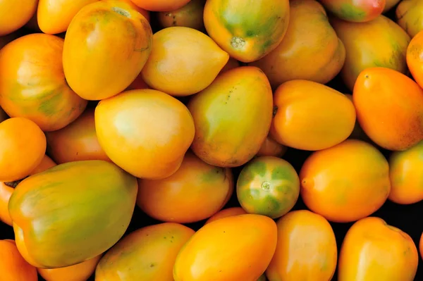 Close Van Verse Gele Tomaten — Stockfoto