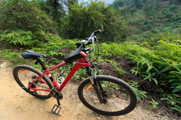 Vue Rapprochée Vtt Rouge Sur Sentier Forestier — Photo