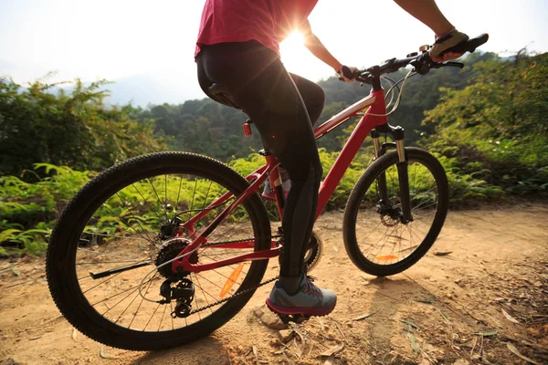 Верхова Їзда Гірському Велосипеді Лісовій Стежці Під Час Сходу Сонця — стокове фото