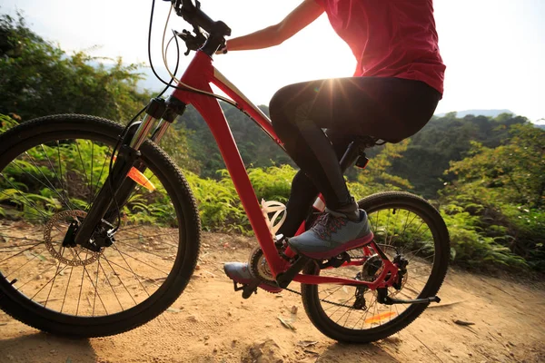 Ridning Mountainbike Skogsstig Sunrise — Stockfoto