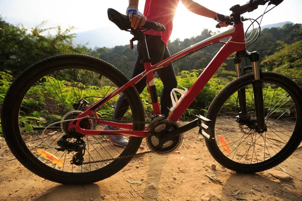Andar Bicicleta Montanha Trilha Florestal Durante Nascer Sol — Fotografia de Stock