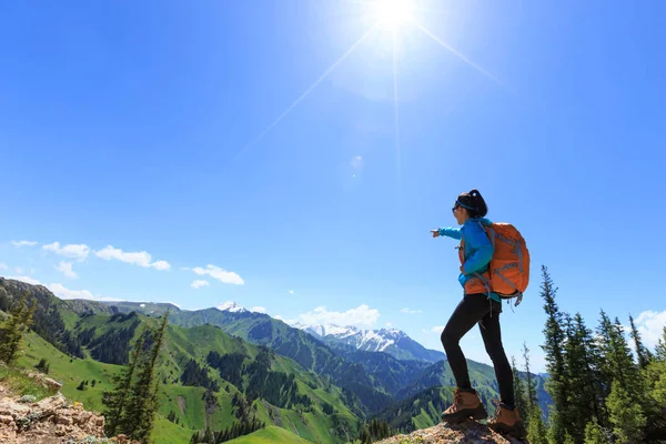 Randonnée Réussie Debout Bord Falaise Sur Sommet Montagne — Photo