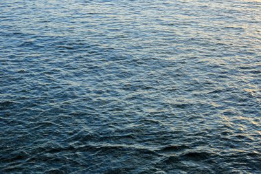 mavi deniz dalga suyu gündoğumu güneş