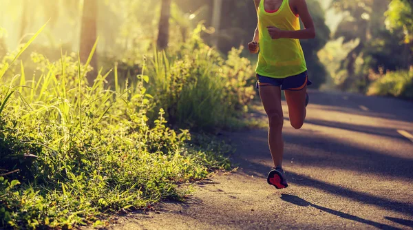 Fitness Mujer Joven Corriendo Por Mañana Bosque Tropical Sendero — Foto de Stock