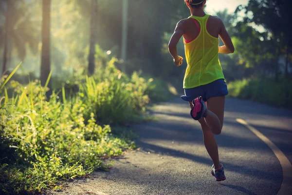 Γυμναστήριο Τρέξιμο Πρωί Τροπικό Δάσος Μονοπάτι Νεαρή Γυναίκα — Φωτογραφία Αρχείου