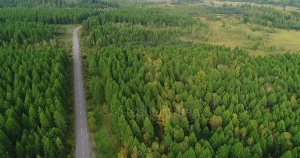 Letecký Pohled Záběry Drone Vynořující Stezka Podzimní Krajinou Lesů — Stock video