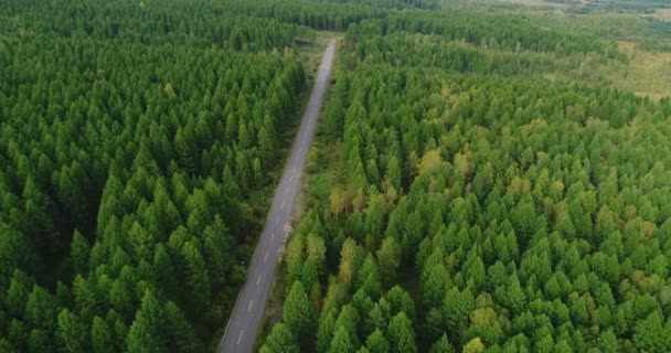 Letecký Pohled Záběry Drone Vynořující Stezka Podzimní Krajinou Lesů — Stock video