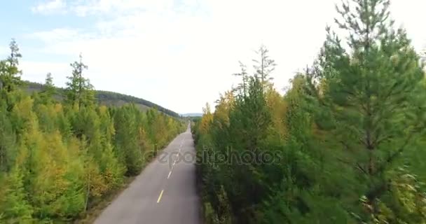 空中ドローン映像ビュー 秋の森林風景を歩道から立ち上がり — ストック動画