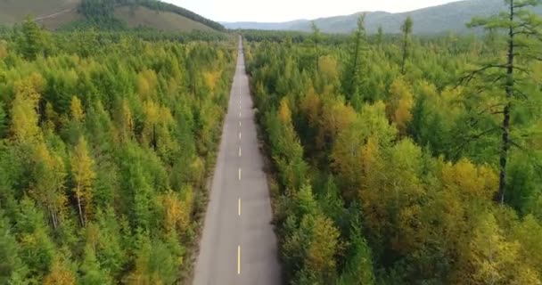 Drone Beelden Luchtfoto Oprijzen Vanaf Trail Door Herfst Landschap Van — Stockvideo