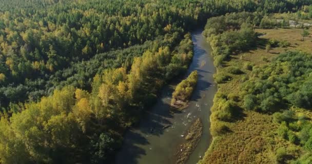 Letecký Pohled Malé Řeky Porosty Majestátní Krajinu — Stock video