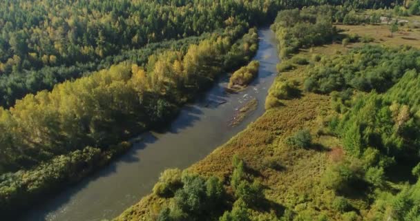 林と小さな川の空撮 雄大な風景 — ストック動画