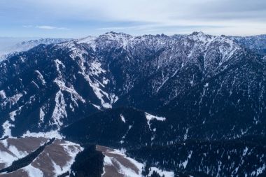 Alp Dağları ve orman havadan görünümü