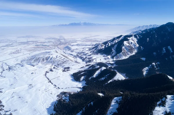 Widok Lotu Ptaka Alpejskich Gór Lasów — Zdjęcie stockowe