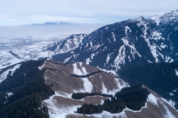Vista Aérea Das Montanhas Florestas Alpinas — Fotografia de Stock