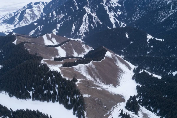 Alp Dağları Orman Havadan Görünümü — Stok fotoğraf