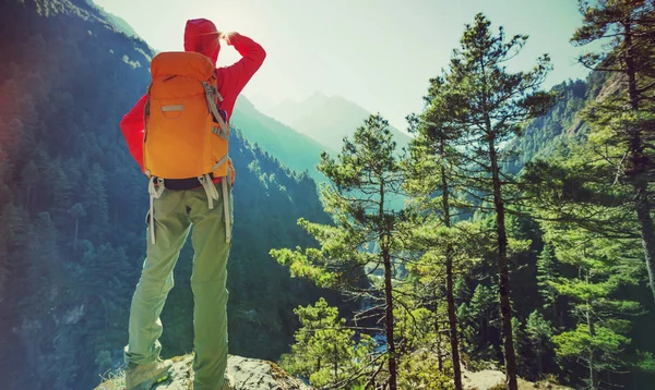 Himalaya Dağlarında Güneşin Tadını Başarılı Uzun Yürüyüşe Çıkan Kimse — Stok fotoğraf