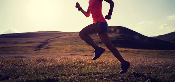 Unga Fitness Kvinna Löpare Kör Sunset Gräsmark Trail — Stockfoto