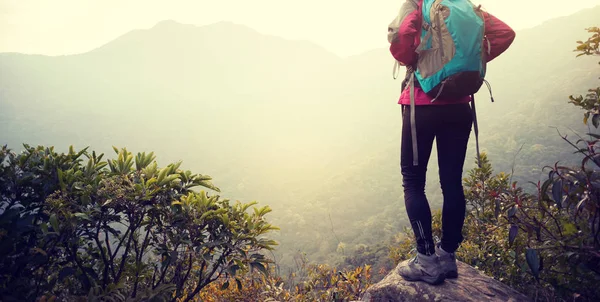 Mujer Mochilero Mirando Las Montañas — Foto de Stock