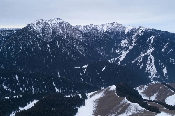 Alp Dağları Orman Havadan Görünümü — Stok fotoğraf