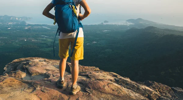 Exitosa Joven Excursionista Cima Montaña —  Fotos de Stock