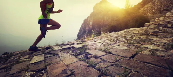 Vrouw Trail Runner Uitgevoerd Top Van Grote Muur Van Berg — Stockfoto