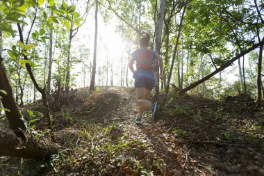 Tropik sonbahar ormanlarında koşan sporcu ultramaraton kros izi